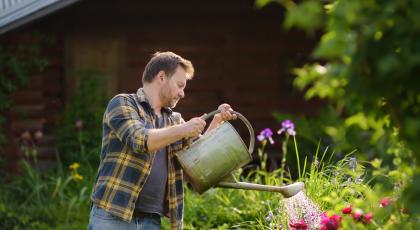 man using a watering can in the garden