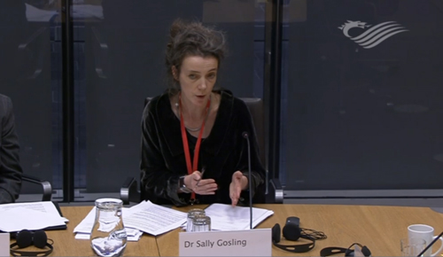 Dr Sally Gosling gives evidence in Wales